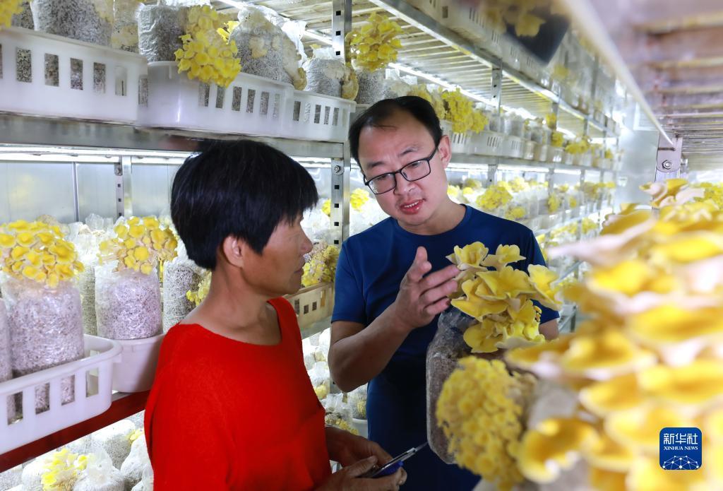 微乐斗地主电脑版怎么下载
